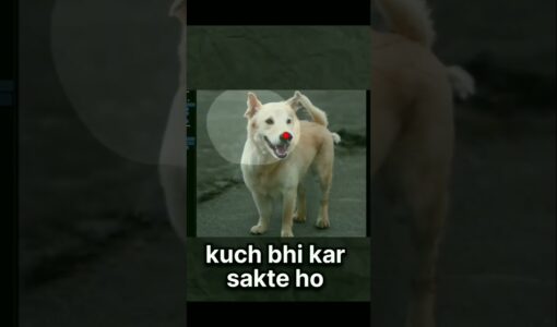 #please_subscribe_my_channel #tachnogamerz #thanksforwatching #webside #please_subscribe_my_channel 10 maxresdefault 25 #please_subscribe_my_channel #tachnogamerz #thanksforwatching #webside #please_subscribe_my_channel