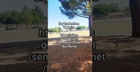 maxresdefault 30 https://sites.google.com/seminoleisd.net/bry/home